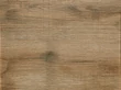 Forest MUNKALAP CHT 1972 ROOT 4200x600x38mm - 10012506890