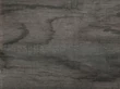 Forest MUNKALAP CHT 1974 ROOT 4200x600x38mm - 10012506910