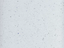 VIZZÁRÓ K217 GG WHITE ANDROMEDA 4,1 fm-BI