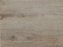 Forest MUNKALAP CHT 1971 ROOT 4200x600x38mm - 10012506880