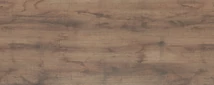 Forest MUNKALAP CHT 1973 ROOT 4200x600x38mm - 10012506900
