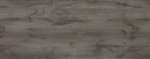 Forest MUNKALAP CHT 1974 ROOT 4200x600x38mm - 10012506910