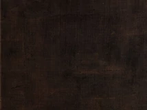 Forest MUNKALAP CHT FA33 PENELOPE 4200x600x38mm - 10012506140