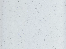 Forest MUNKALAP KRONOSPAN K217 GG WHITE ANDROMEDA R=3,3mm, 4100x600x38mm - 10012556130