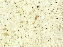 Forest VIZZÁRÓ 4793 TP CHIP SAND (D93QZ) 4,2 fm BEIGE-AV - 10015800050