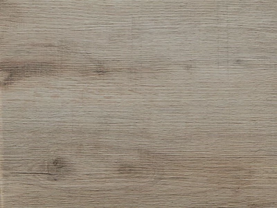 Forest MUNKALAP CHT 1971 ROOT 4200x600x38mm - 10012506880