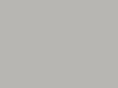 Forest MUNKALAP EGGER U763 ST76 PEARL GREY 4100x600x38mm - 10012553370