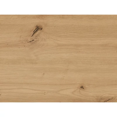 Forest MUNKALAP EGGER H1318 ST10 NATURAL WILD OAK 4100x600x38mm - 10012553630